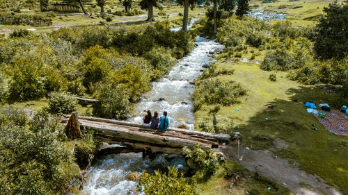 Free Friends enjoying a peaceful moment on a wooden bridge over a stream in Kashmir's lush landscape. Stock Photo