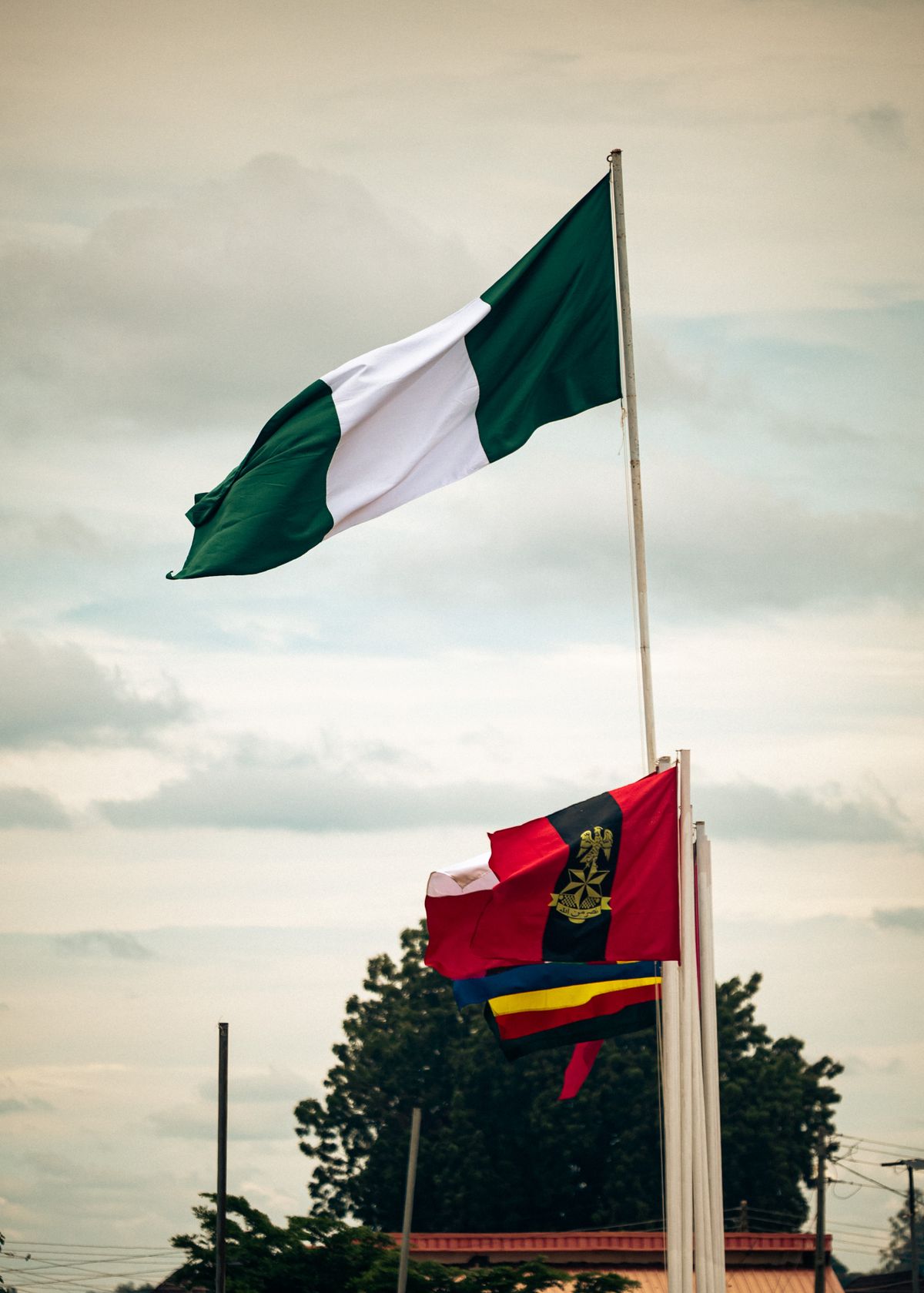 Nigerian national flag and state flags waving against a cloudy sky, symbolizing unity