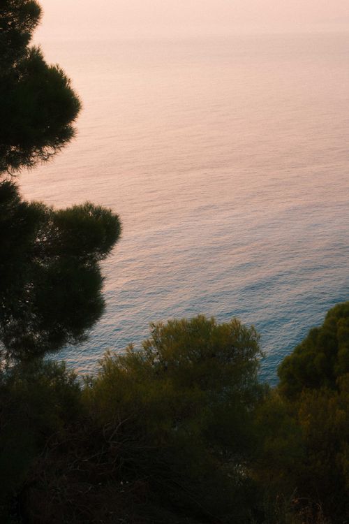 Free A tranquil coastal scene with trees overlooking a calm sea during twilight. Stock Photo