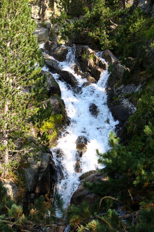 Free Peaceful waterfall flowing through rocks in a lush mountain forest. Stock Photo