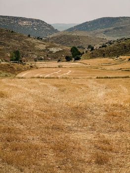 Serene view of an abandoned farmland in Aragon, Spain, showcasing golden fields under a warm sky.