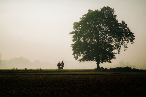 Free A serene morning scene with two people walking by a tree in a misty landscape. Stock Photo