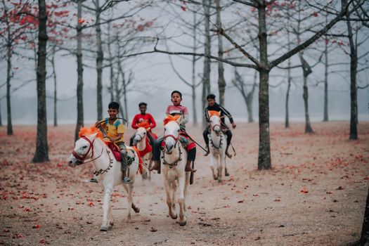Boys ride horses through a serene autumn forest surrounded by colorful trees.