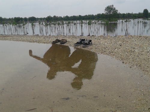 Základová fotografie zdarma na téma edy kurnia, langsa, zulkifli