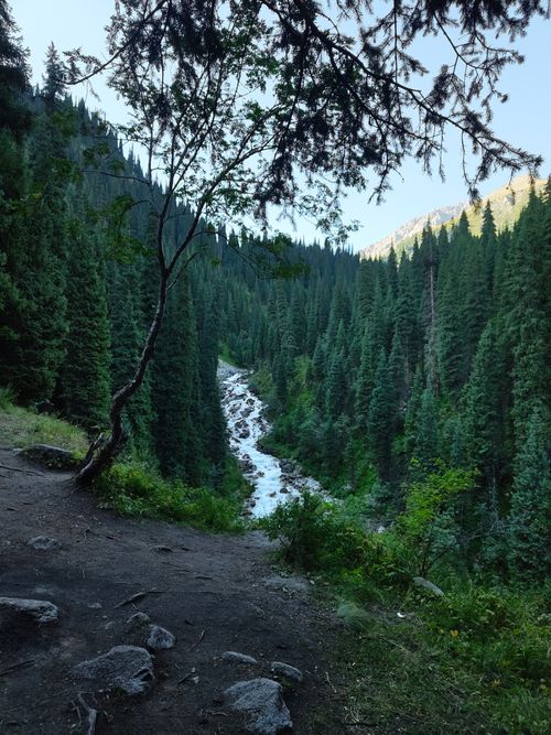 Free Serene mountain river flowing through lush green forest in Almaty, Kazakhstan Stock Photo