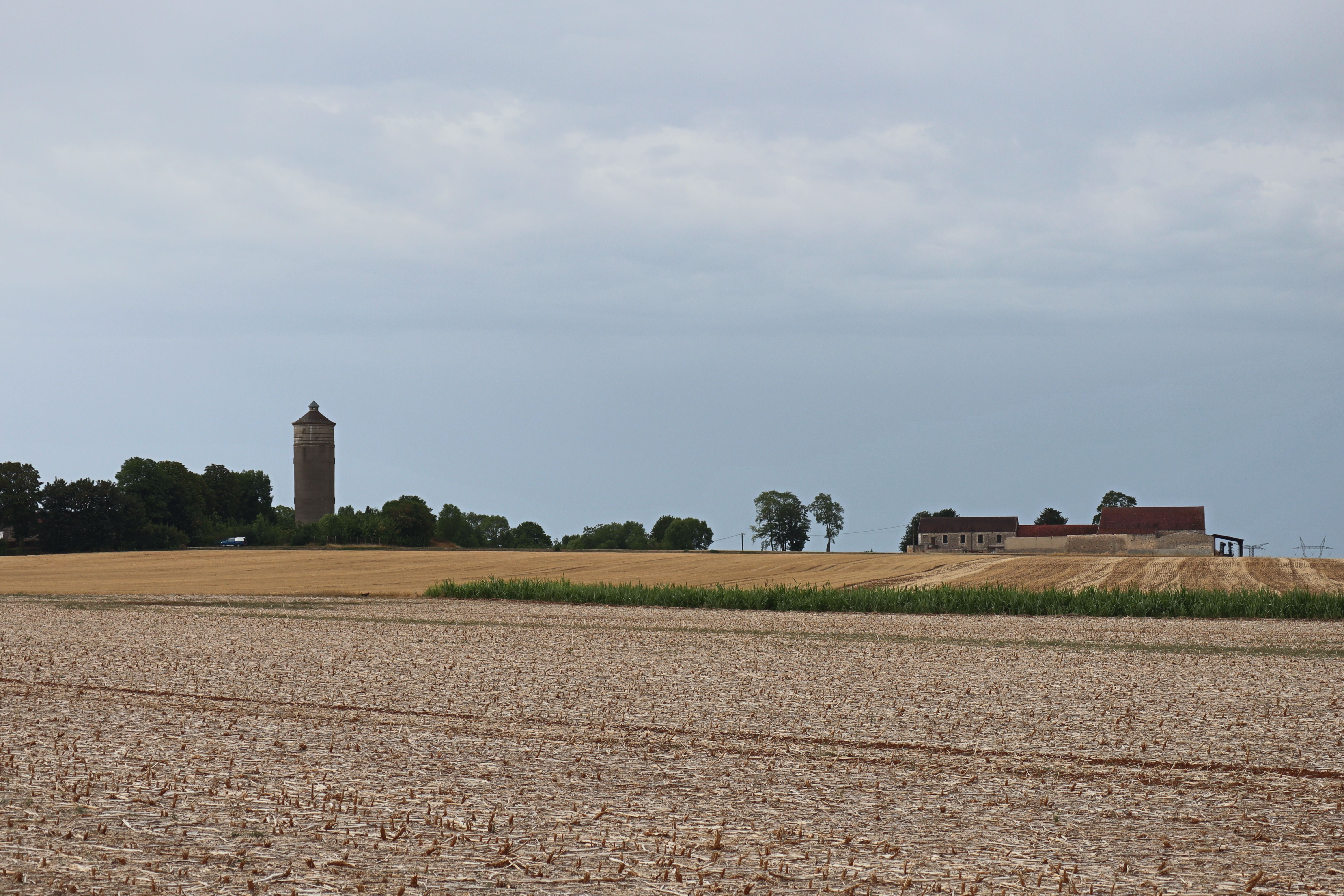 Schilderij Toscane landelijke boerderij en wijngaard.