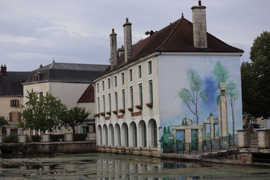 Kikkerkunstwerk in gevlamde herfstkleuren. Kikkerkunstwerk in gevlamde herfstkleuren.