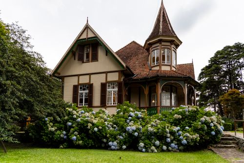 Free Victorian house surrounded by blooming hydrangeas in a lush garden setting. Stock Photo