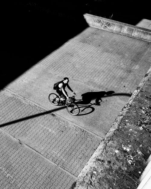Free Black and white image of a cyclist with shadow on a city street, captured from above. Stock Photo