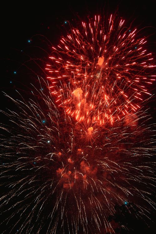 Free A stunning burst of red fireworks lighting up the night sky, perfect for celebrations. Stock Photo