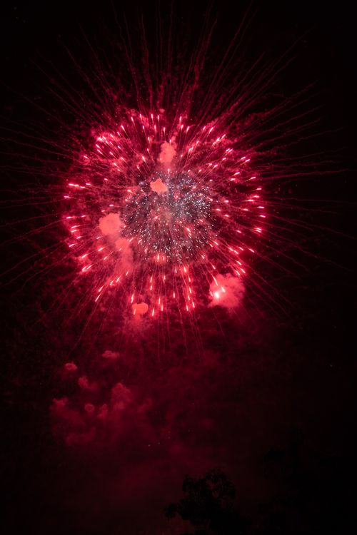Free Captivating red fireworks burst illuminate the night sky with vivid colors, creating a festive atmosphere. Stock Photo
