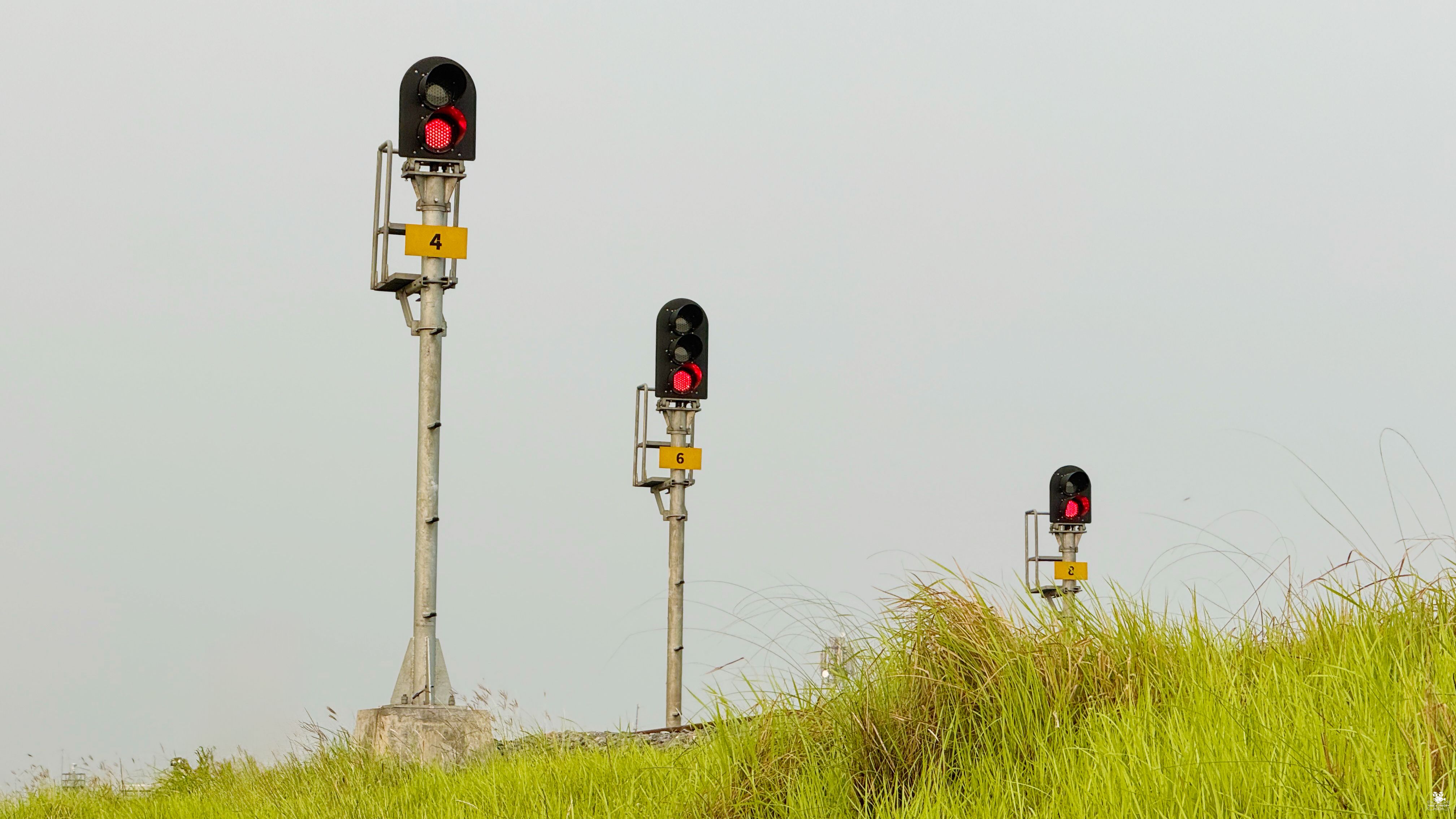 Reactive oxygen species act as signals before they ever act as damage