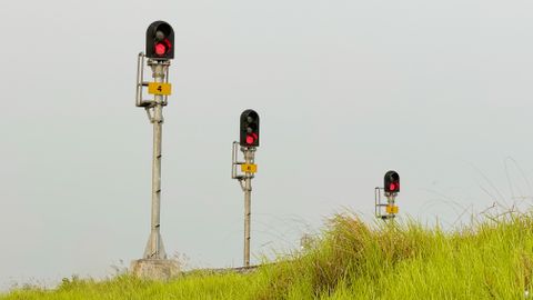 Reactive oxygen species act as signals before they ever act as damage