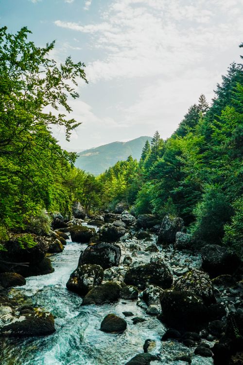 Free A serene mountain stream flows through a verdant forest under a bright blue sky, capturing nature's tranquility. Stock Photo