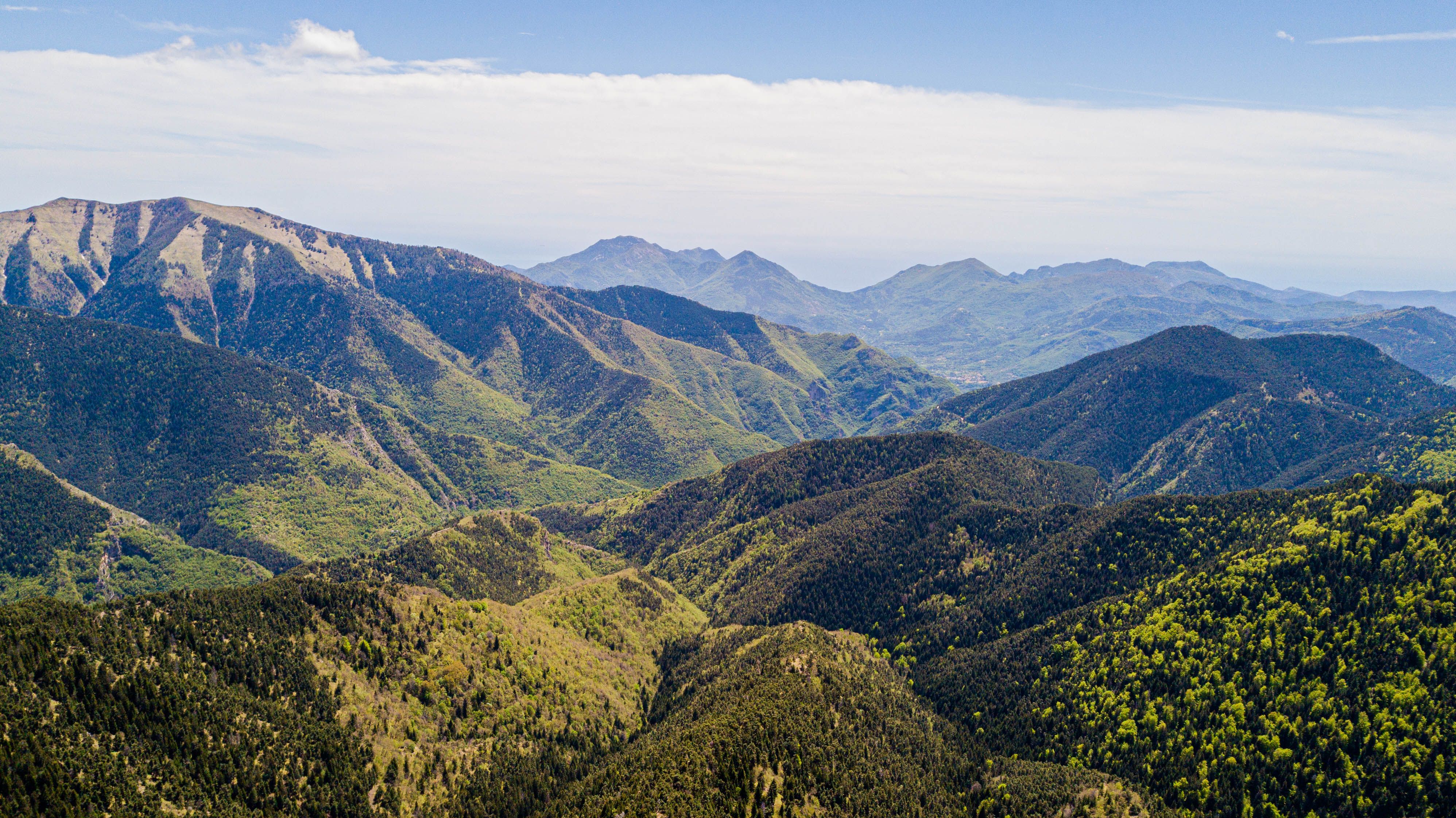 Aspromonte