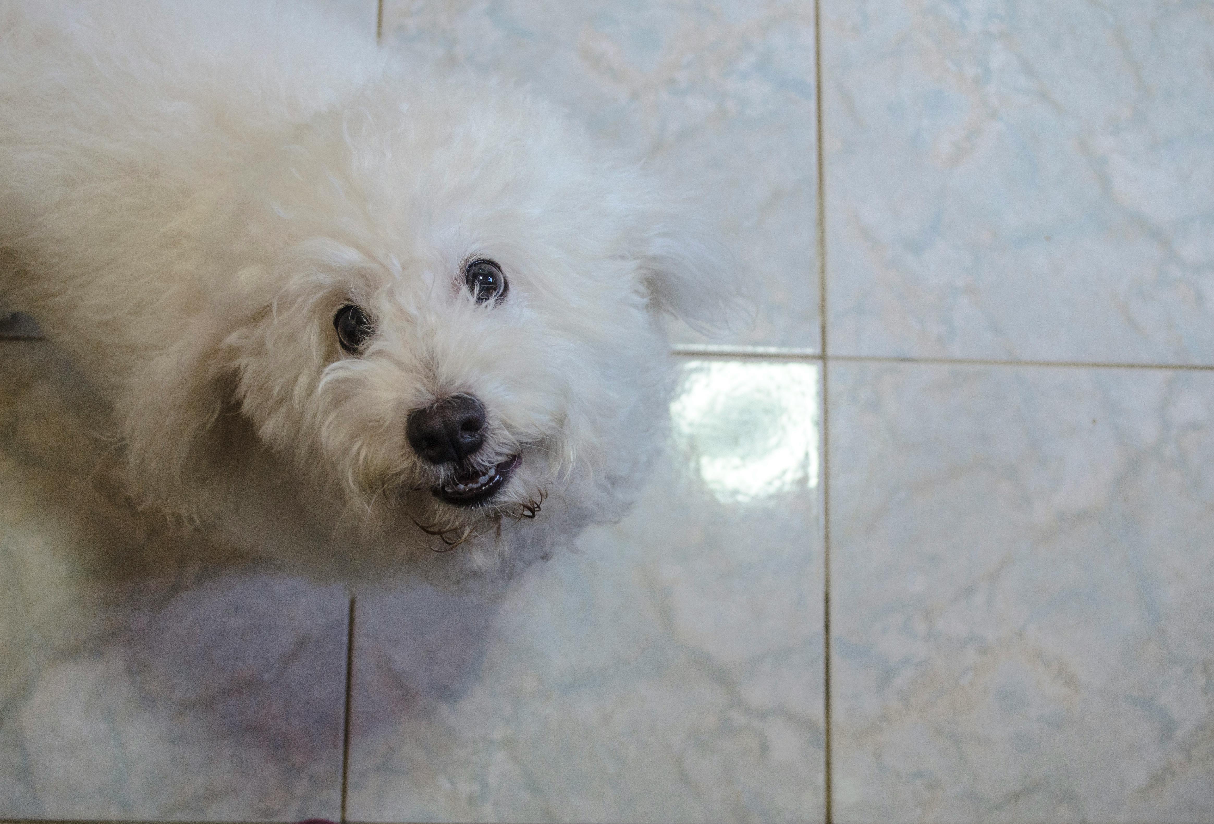 pexels-photo-389665.jpeg?auto=compress&cs=tinysrgb&h=750&w=1260