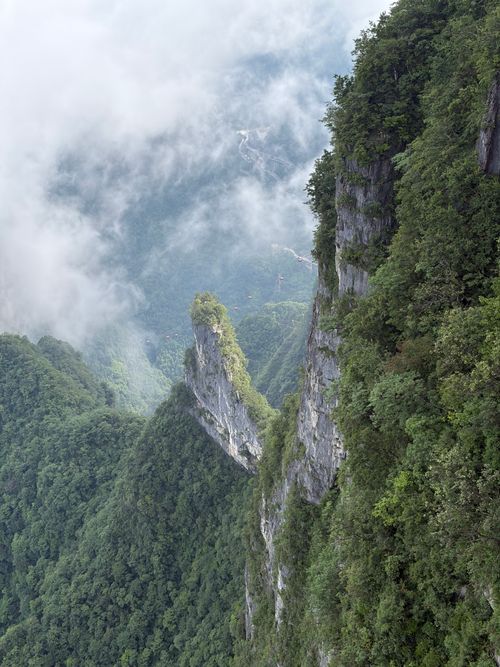 Free Explore the breathtaking misty cliffs and lush greenery of Zhangjiajie, Hunan, China. Stock Photo