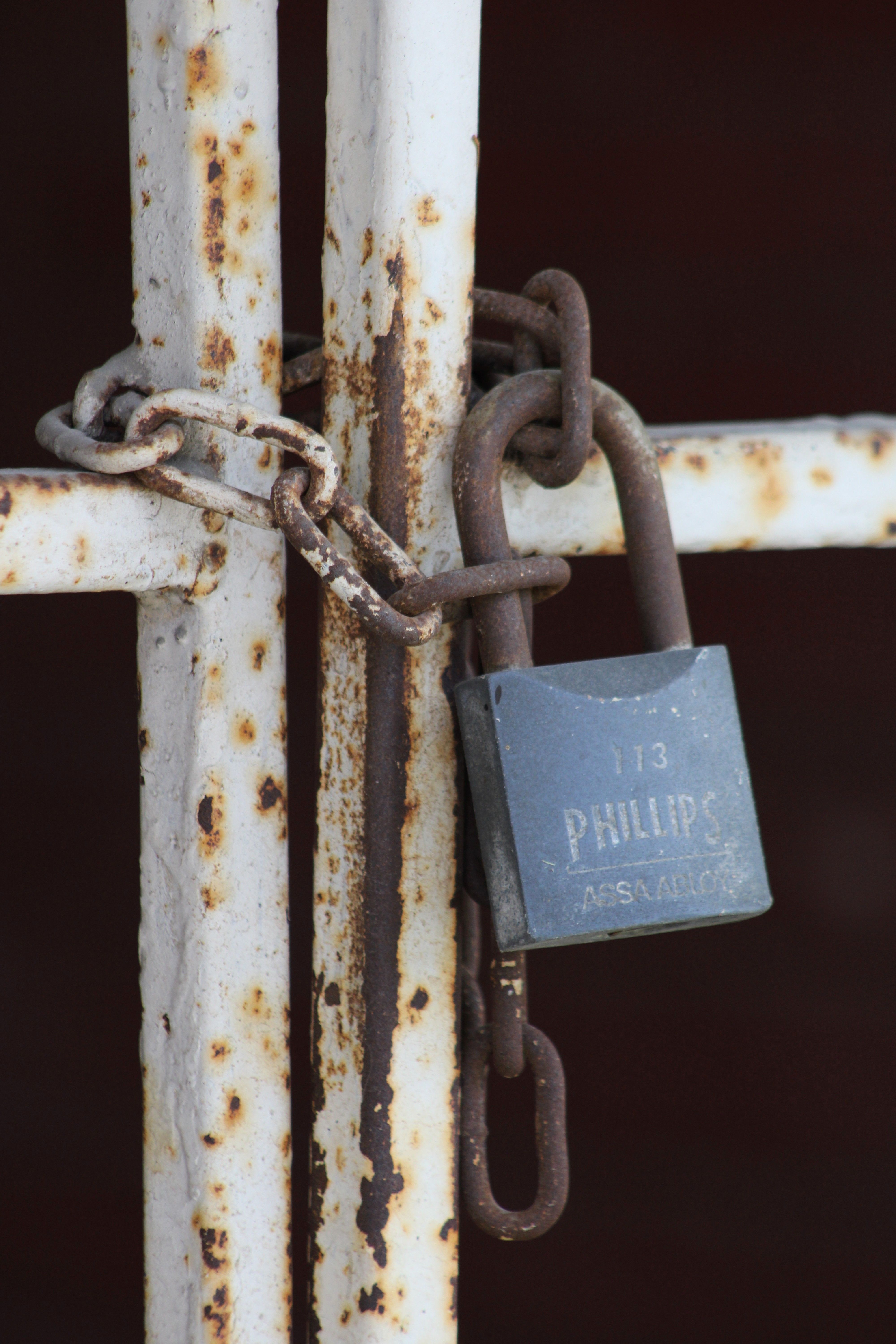 Fotomural Primer plano de una verja metálica oxidada con un candado Phillips y una cadena, que muestra la decadencia urbana.