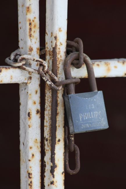 Fotomural Primer plano de una verja metálica oxidada con un candado Phillips y una cadena, que muestra la decadencia urbana.