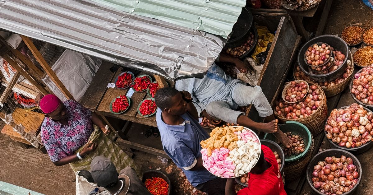 Zambia y su apuesta por la agroindustria para aumentar exportaciones Zambia y su apuesta por la agroindustria para aumentar exportaciones
