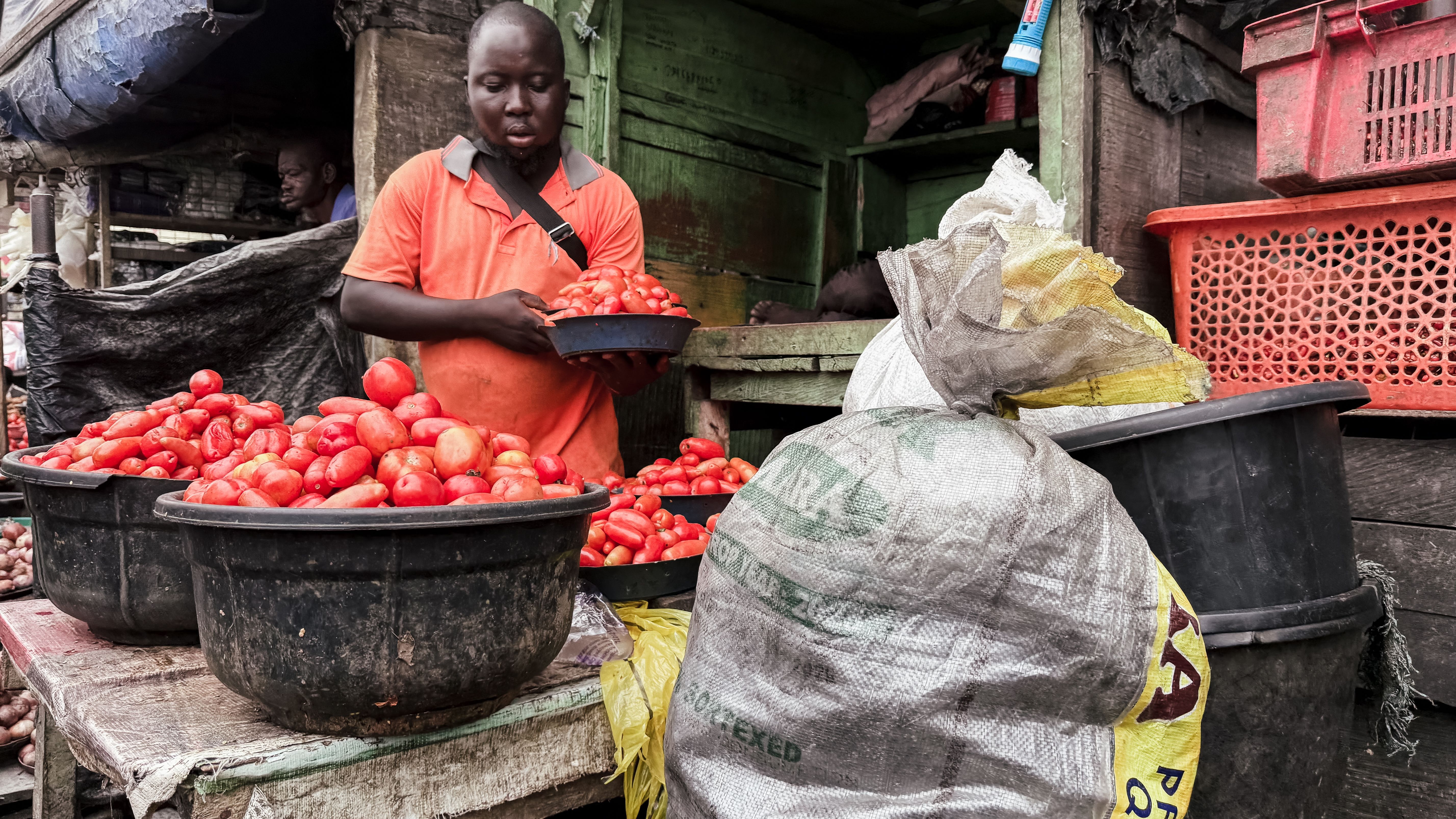 Dark-skinned Nigerian woman in a colourful adire blouse selecting tomatoes, onions and pepper at a busy Oyo State open-air food market, baskets of fresh produce surrounding her, candid photorealistic shot