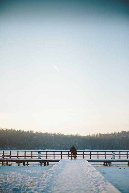 Foto profissional grátis de cais, inverno, lago