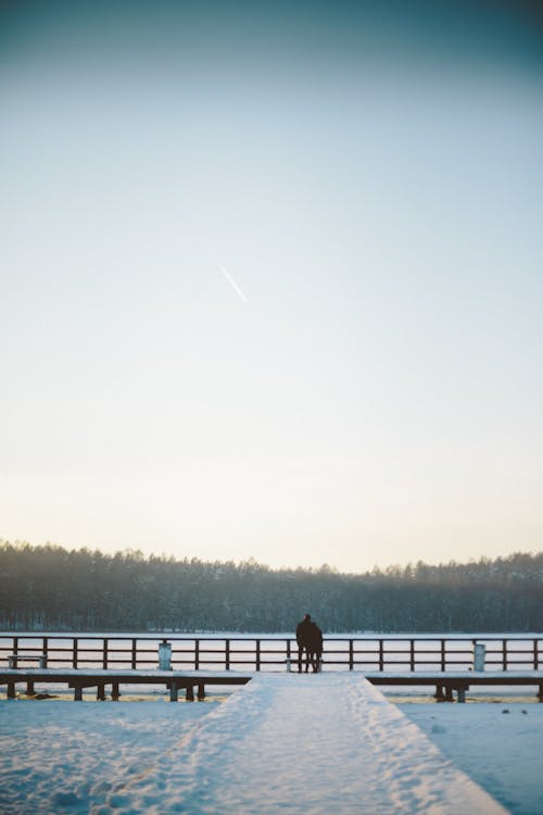 Foto profissional grátis de cais, inverno, lago