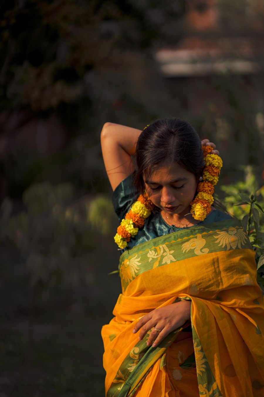 Marigold Silk Saree