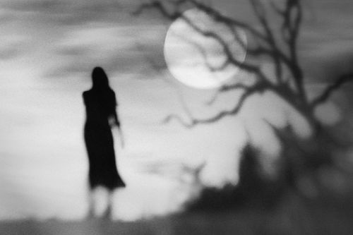 Free Eerie silhouette of a person under the moonlight with barren trees. Stock Photo