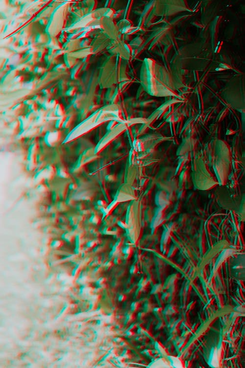 Free stock photo of anomaly, glitch, green