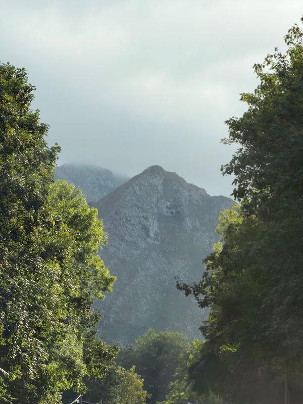 Sommet embrumé encadré d'arbres au Gipuzkoa, dans le Pays basque