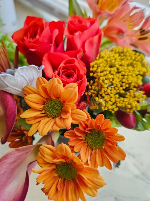 Free A stunning bouquet featuring red roses, orange daisies, and more against a bright background. Stock Photo