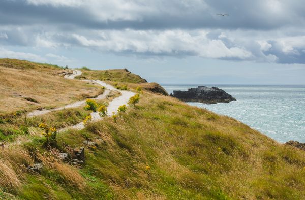 Coastal pathway through grassy cliffs at Cala Fonda Cove, photo by Alexandra Kirikova on Pexels