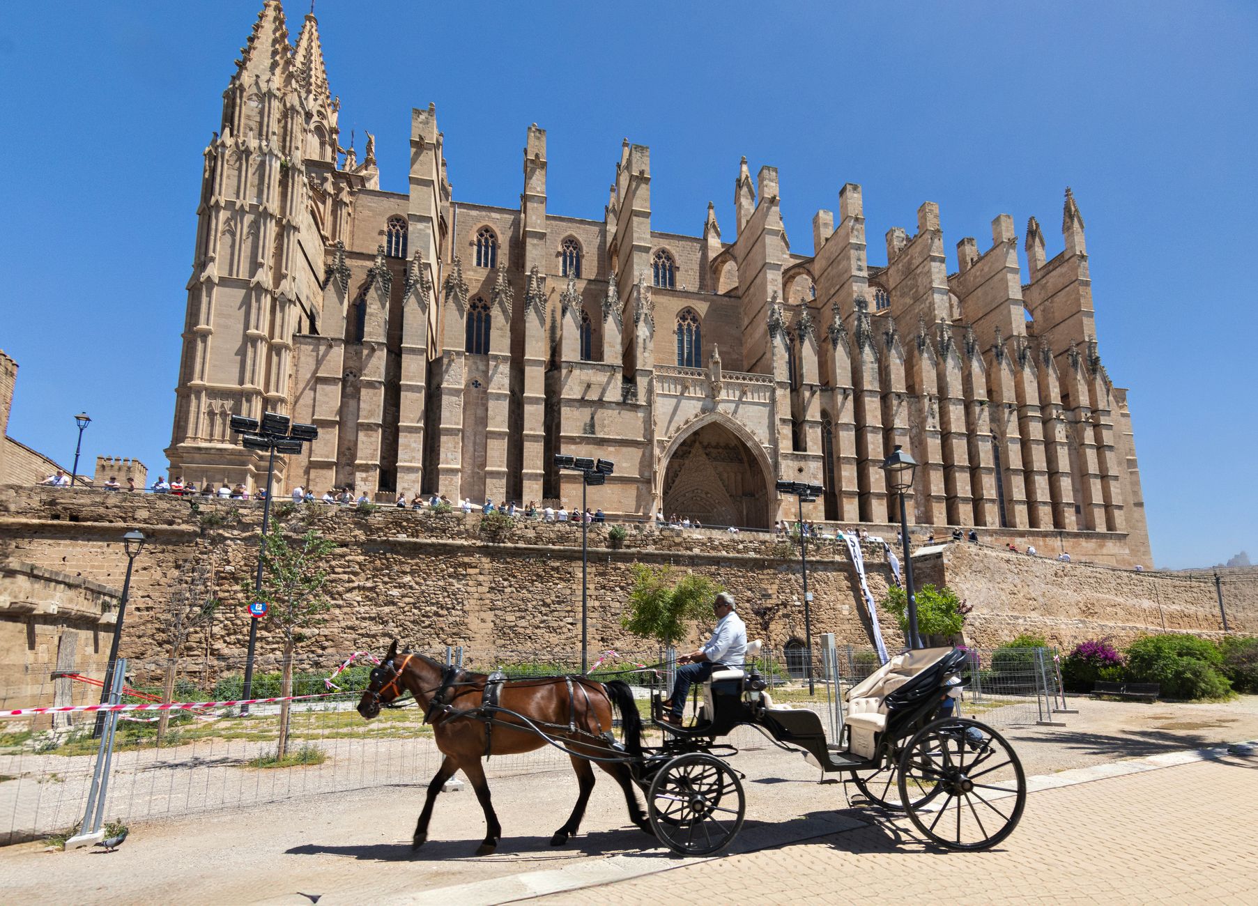 Mallorca photo 5