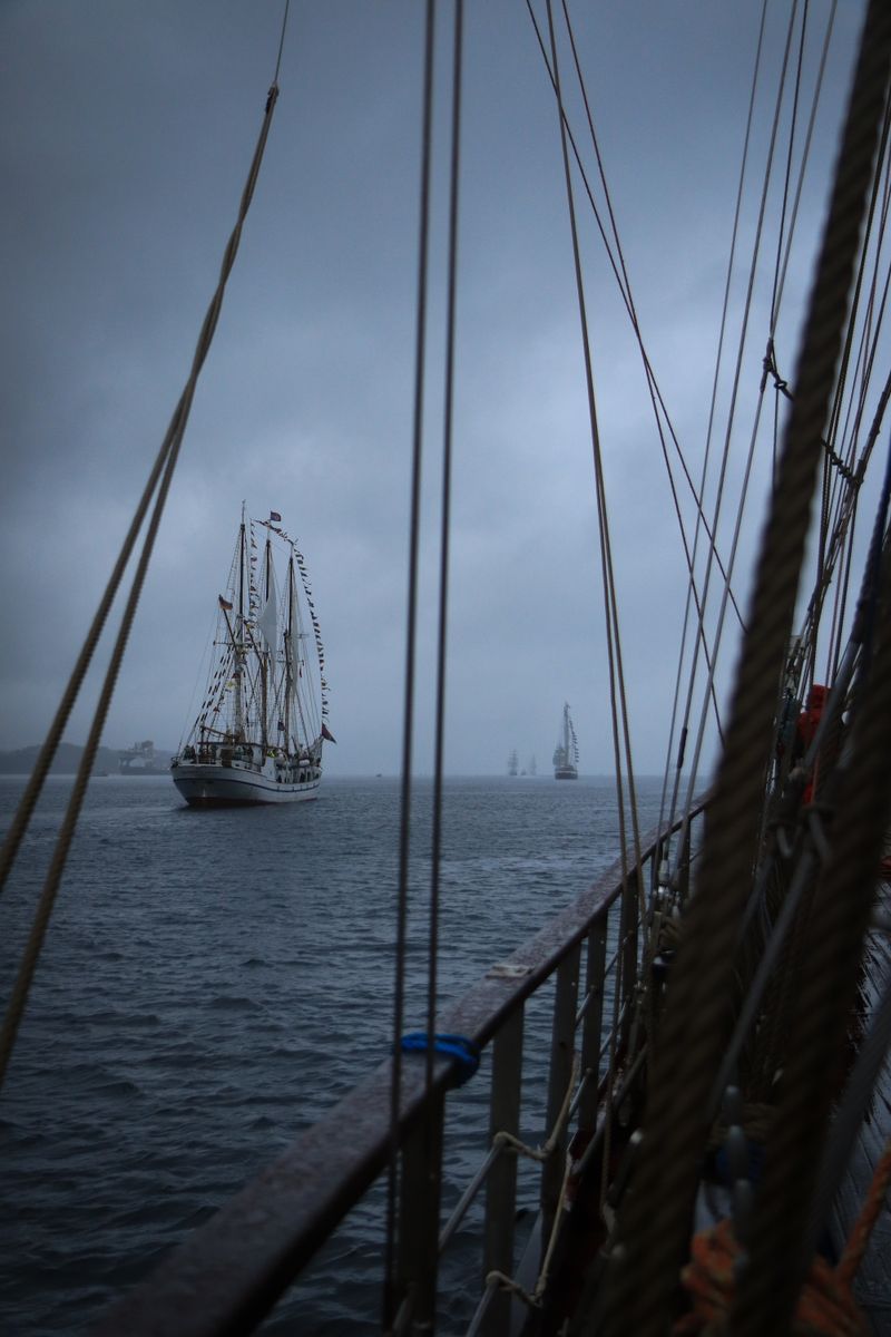 Several tall ships with large white sails sailing together across open water during the parade