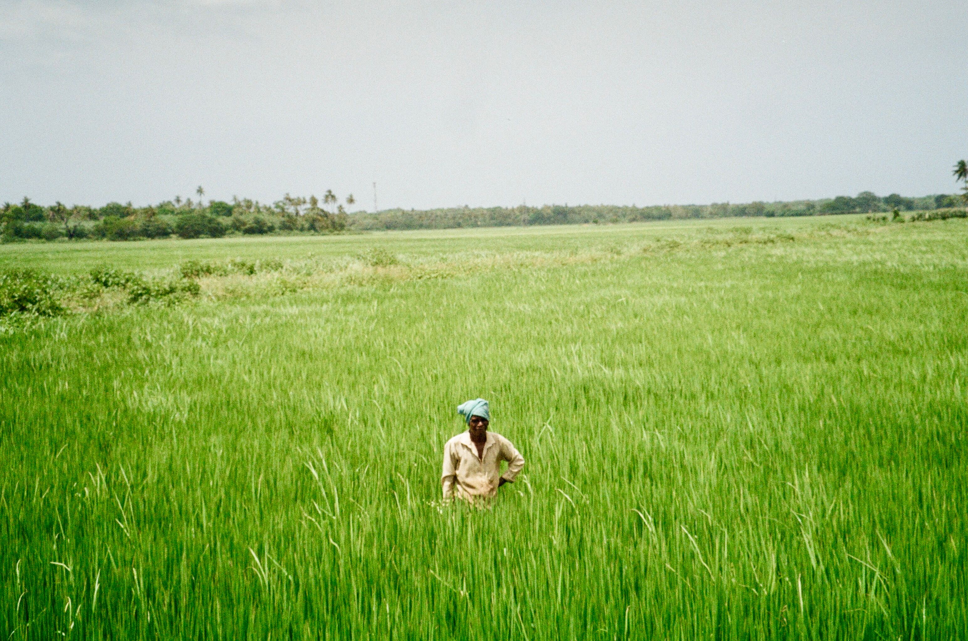 Marawila for Solo Travellers: Safety and Practical Tips