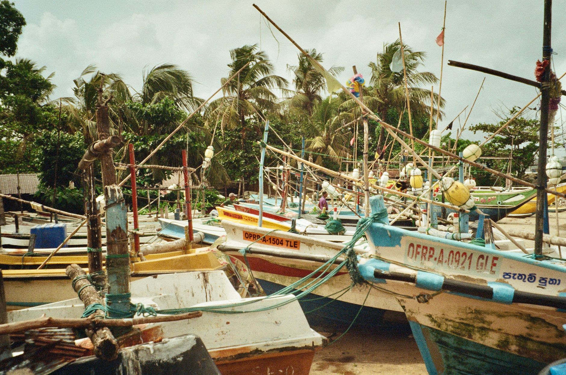 Negombo for Solo Travellers: Safety and Practical Tips