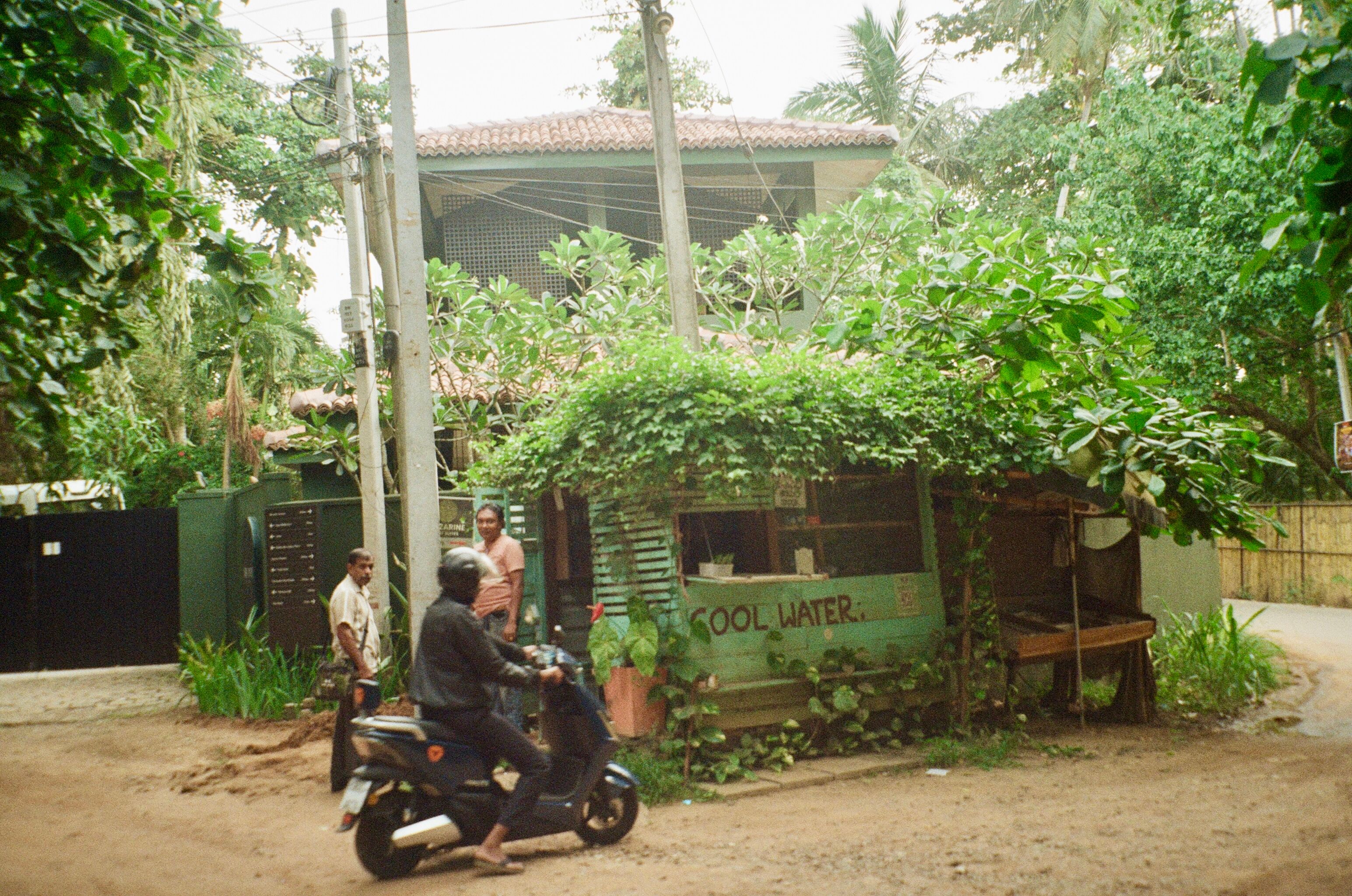 Green Village Negombo: A Working Farm Stay Experience in Sri Lanka