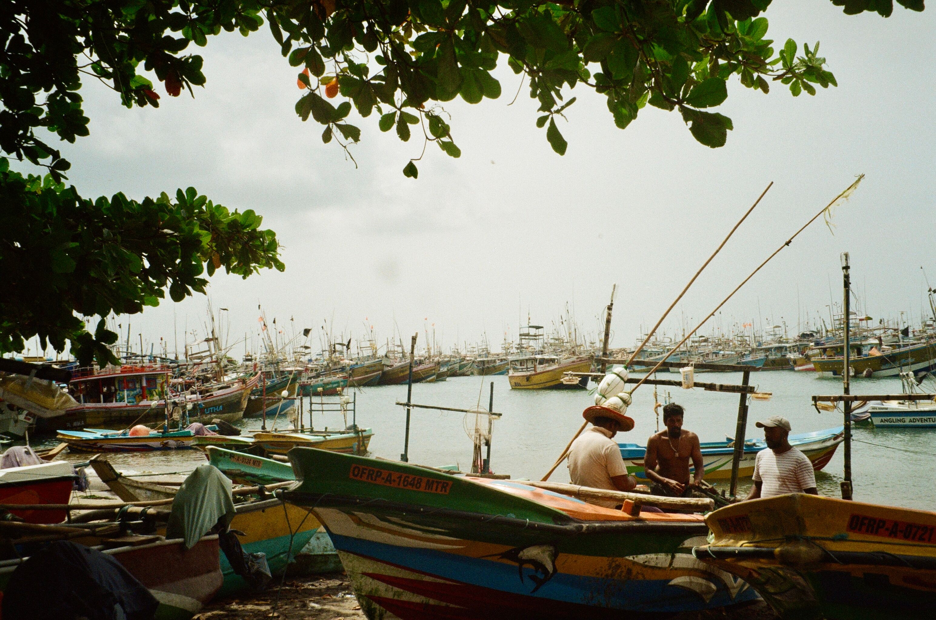 Trincomalee for Solo Travellers: Safety and Practical Tips
