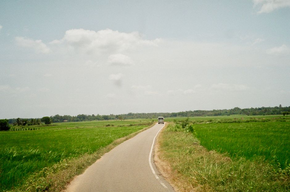 A serene rural road stretching through lush green fields under a bright sky in Sri Lanka.