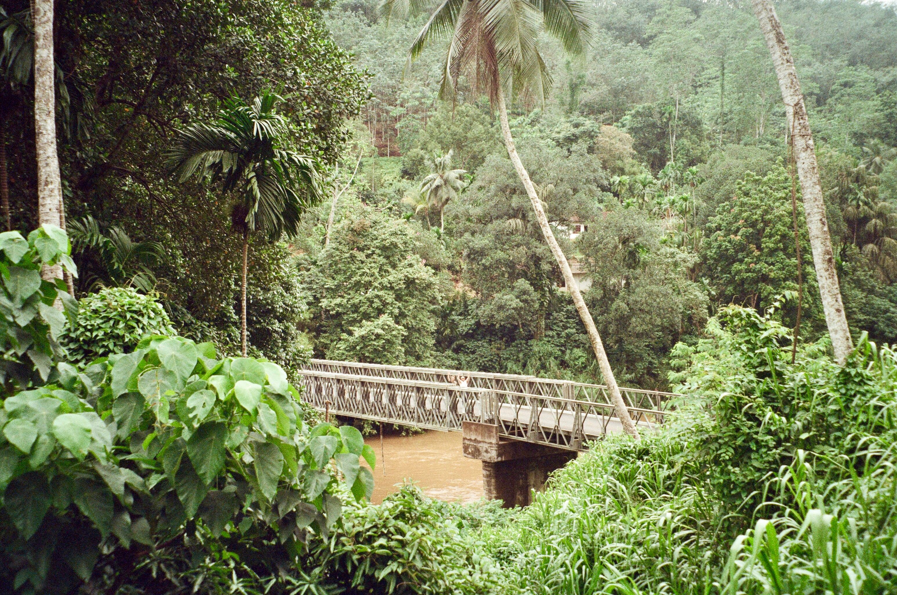 Kitulgala in 4 Days: The Complete Itinerary