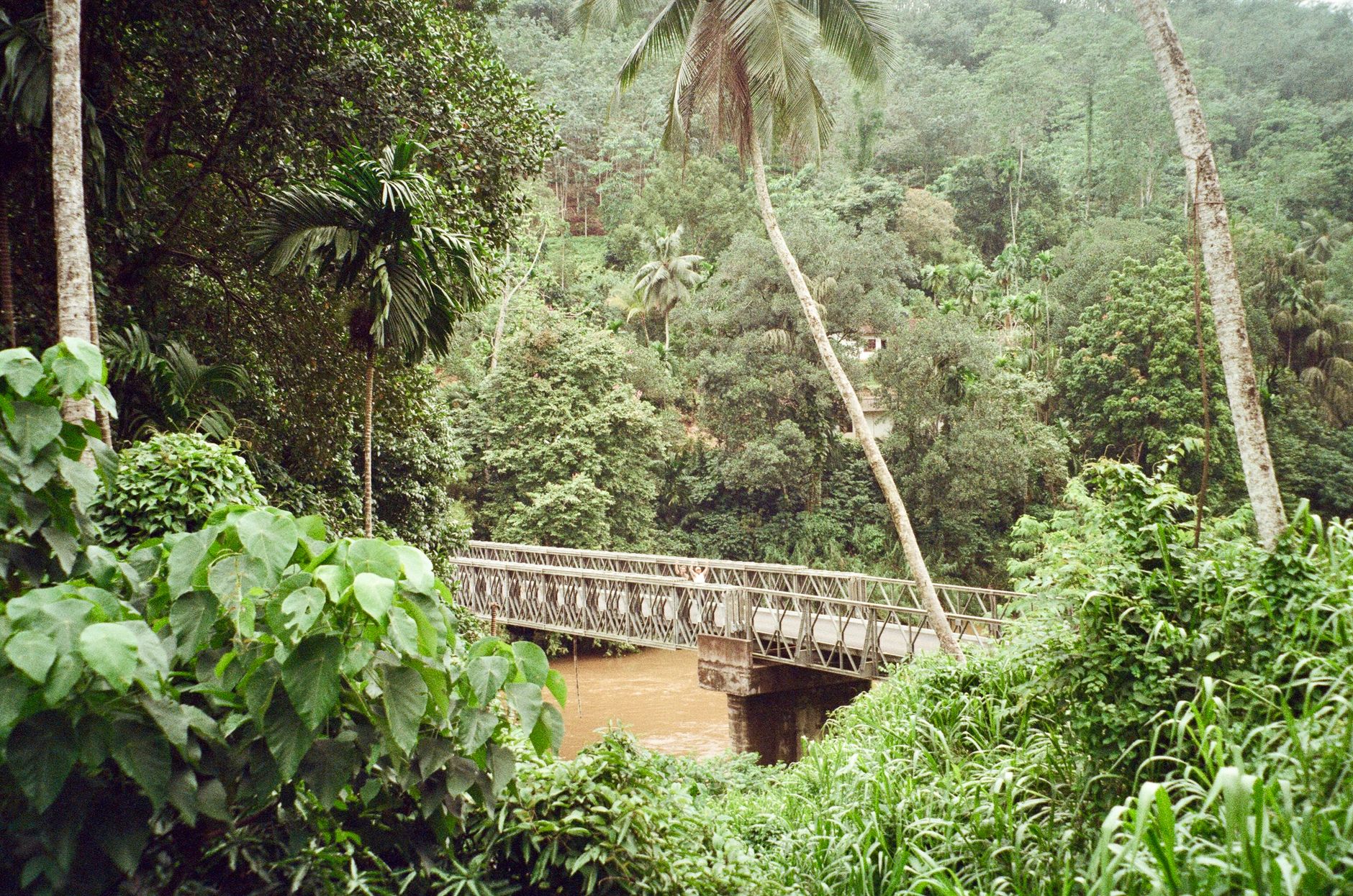Kitulgala in 4 Days: The Complete Itinerary