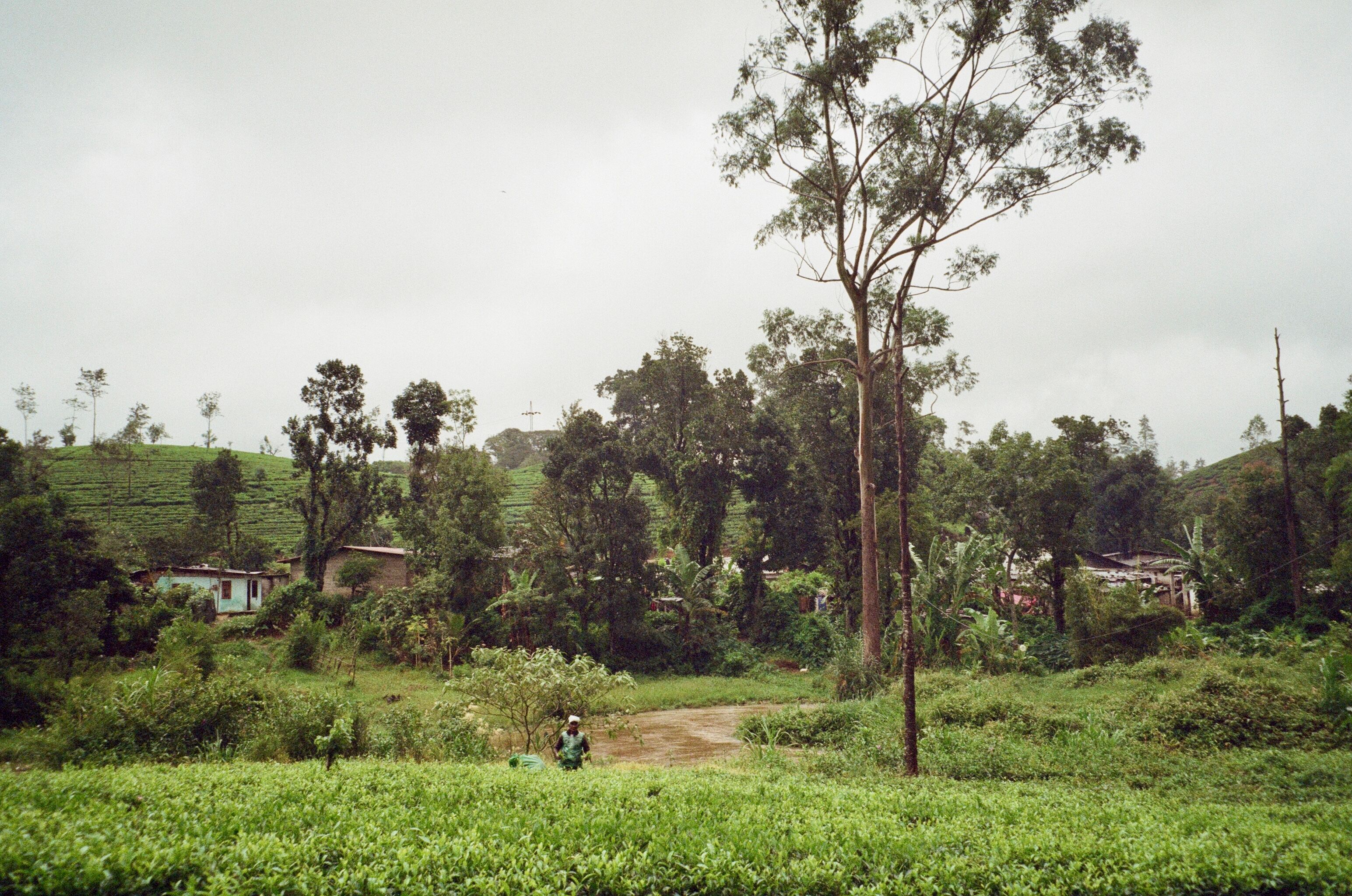 Kotapola with Family: What Works and What to Skip