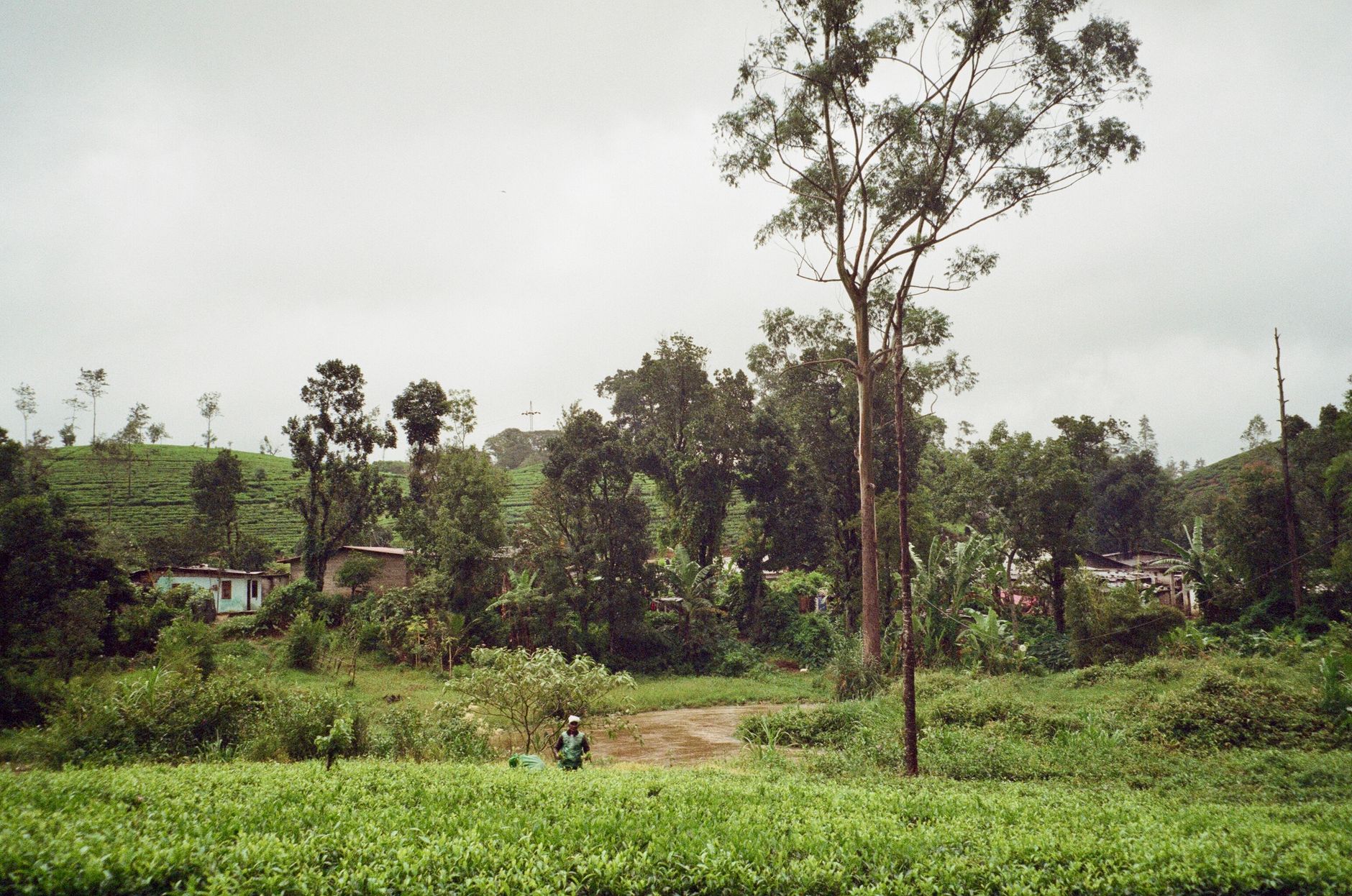 Kotapola with Family: What Works and What to Skip