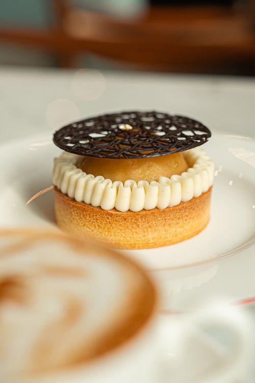Free Close-up of an elegant dessert featuring intricate chocolate garnish on a white plate. Stock Photo