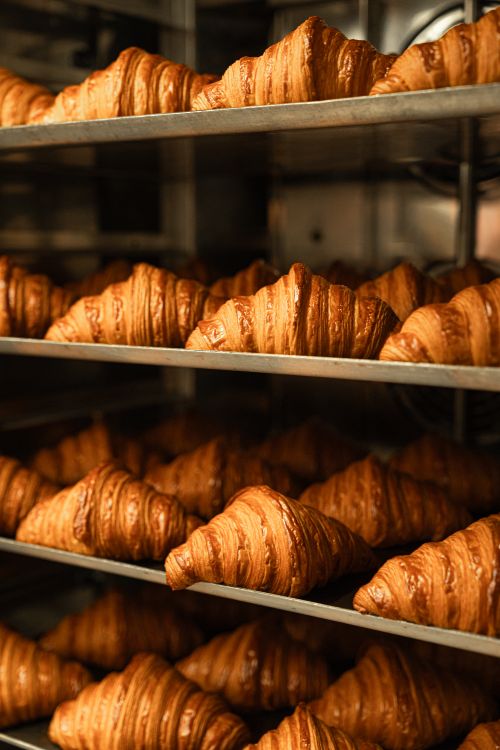 Free Freshly baked croissants on cooling racks in a bakery kitchen, golden and flaky. Stock Photo