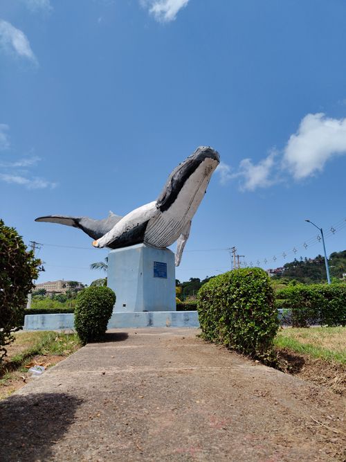 Free A large whale statue in an outdoor park setting on a sunny day with clear blue skies. Stock Photo