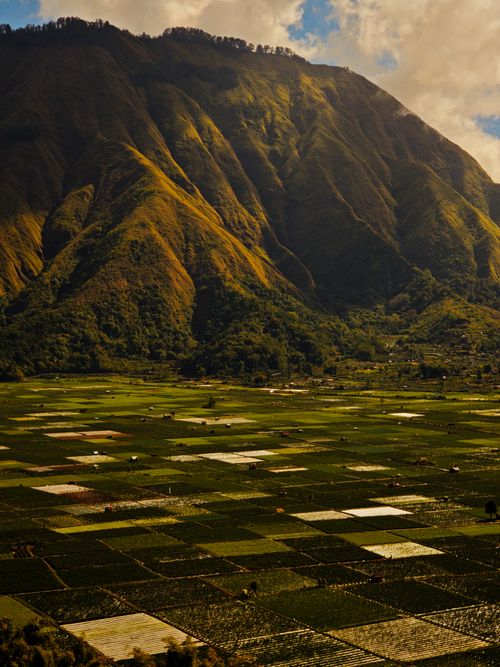 Free Stunning aerial shot of vibrant green fields with a dramatic mountain backdrop, captured in warm light. Stock Photo