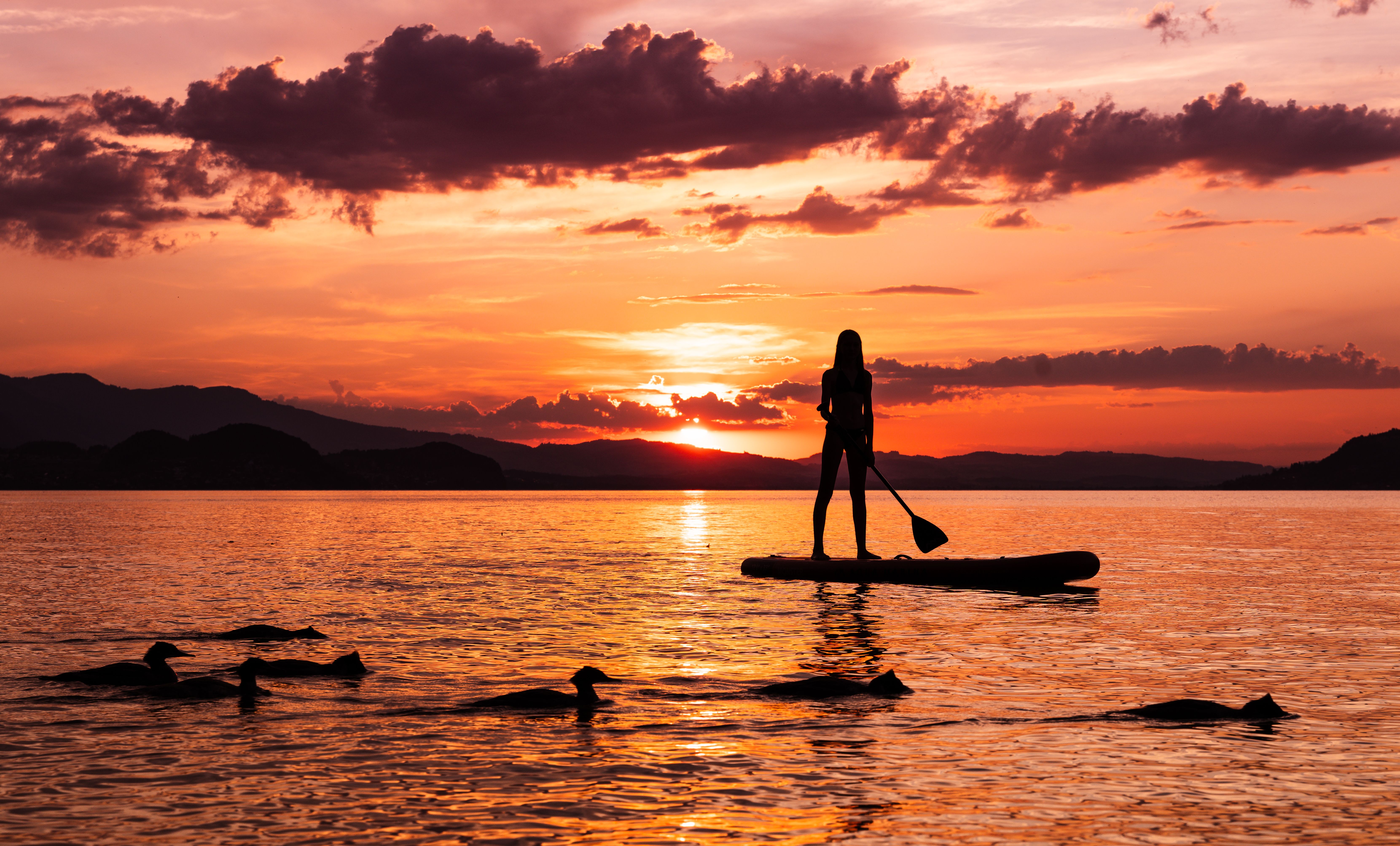 A paddleboarder enjoys a serene sunset on calm waters with dolphins nearby, creating a picturesque scene.