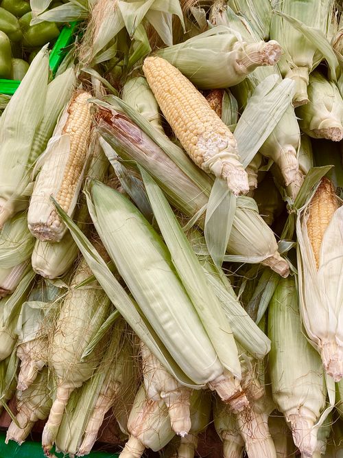 Free Close-up of fresh corn on the cob with husks at a market, showcasing natural texture and color. Stock Photo